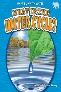 What Is the Water Cycle?