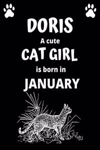 DORIS a cute cat girl is born in January
