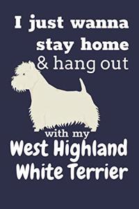 I just wanna stay home & hang out with my West Highland White Terrier