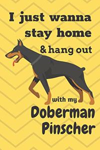 I just wanna stay home & hang out with my Doberman Pinscher