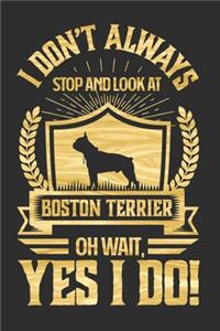 I Don't Always Stop and Look At Boston Terrier OH Wait, Yes I Do!