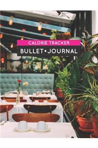 Calorie Tracker Bullet Journal