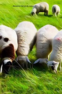 Moutons Carnet de notes
