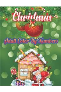 Christmas Adult Color By Numbers