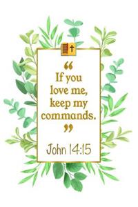 If You Love Me, Keep My Commands