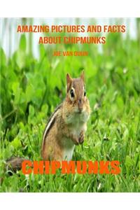 Chipmunks: Amazing Pictures and Facts about Chipmunks