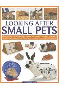 Looking After Small Pets