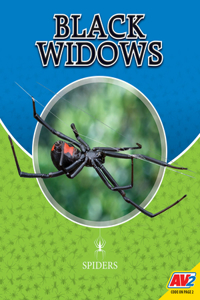 Black Widows