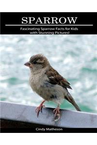 Sparrow: Fascinating Sparrow Facts for Kids with Stunning Pictures!