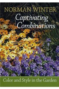 Captivating Combinations