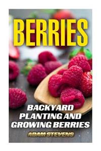 Berries