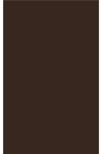 Chocolate Brown 101 - Lined with Margins Notebook (Narrow)