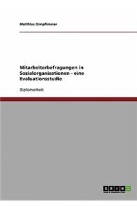 Mitarbeiterbefragungen in Sozialorganisationen. Eine Evaluationsstudie