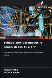 Sviluppi non parametrici e analisi di CU, TE e TFP