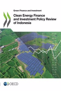 Clean Energy Finance and Investment Policy Review of Indonesia