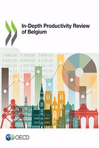 In-Depth Productivity Review of Belgium