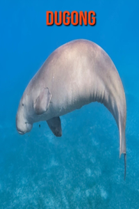 Dugong