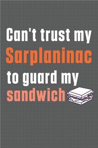 Can't trust my Sarplaninac to guard my sandwich