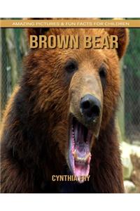 Brown Bear