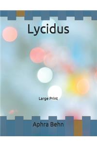 Lycidus