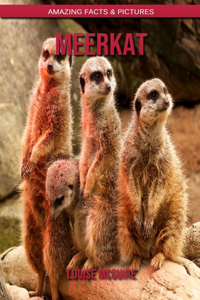 Meerkat