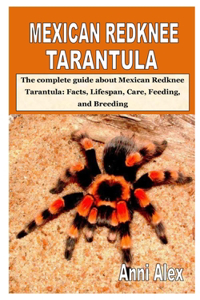 Mexican Redknee Tarantula