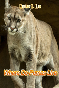 where do pumas live