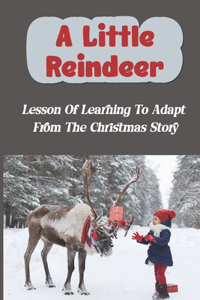 A Little Reindeer: Lesson Of Learning To Adapt From The Christmas Story