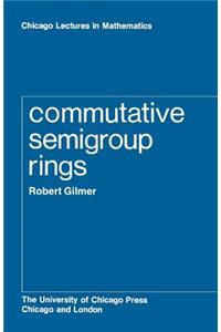 Commutative Semigroup Rings