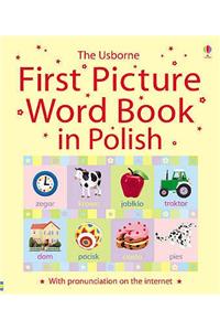 Usborne First Picture Book in Polish