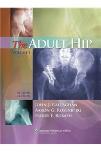 The Adult Hip