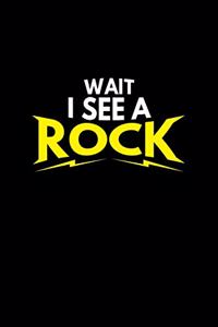 Wait I See A Rock