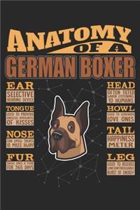 Anatomy Of A German Boxer