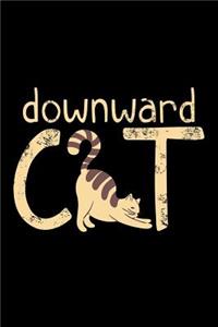 Downward Cat