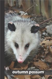 autumn possum
