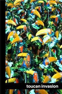 Toucan Invasion