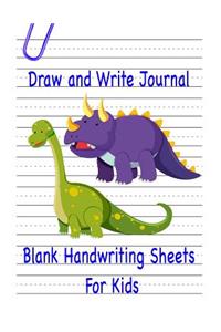 Draw and Write Journal