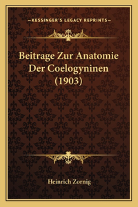 Beitrage Zur Anatomie Der Coelogyninen (1903)