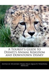 A Tourist's Guide to Disney's Animal Kingdom and Downtown Disney