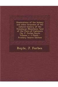 Illustrations of the Botany and Other Branches of the Natural History of the Himalayan Mountains ?And of the Flora of Cashmere /By J. Forbes Royle. Volume V. 2 Plates