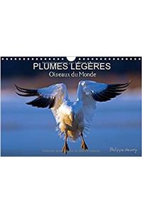 Plumes Legeres. Oiseaux du Monde 2017