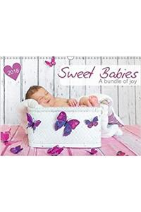 Sweet Babies - A Bundle of Joy 2018
