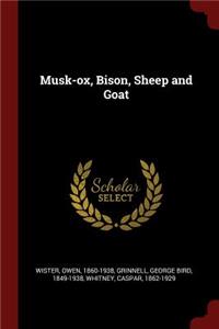 Musk-Ox, Bison, Sheep and Goat