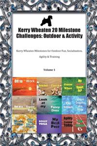 Kerry Wheaten 20 Milestone Challenges