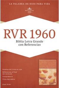 RVR 1960 Biblia Letra Gigante con Referencias, damasco/coral símil piel