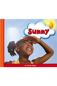 Sunny
