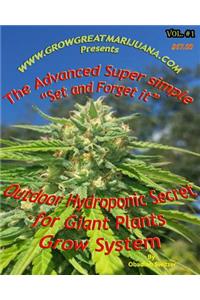 Outdoor Hydroponic Secret for Giant Plants Grow System