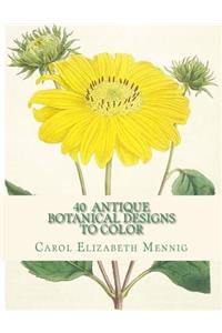 40 Antique Botanical Designs to Color