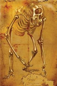 Cyclops Skeleton Journal