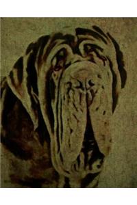 Neapolitan Mastiff